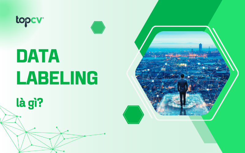 Data Labeling (Gán nhãn dữ liệu) là gì? Mô tả chi tiết công việc